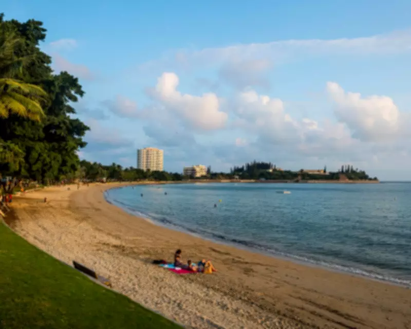 New Caledonia Implements Shark Culling After Fatal Attack