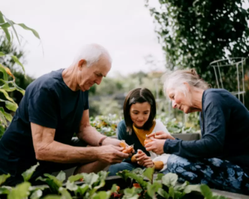 New Study Reveals Generational Divide in UK Is Less Severe Than Perceived