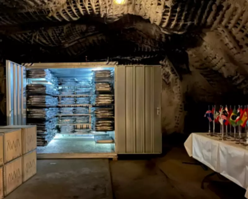 Nigeria Becomes First African Nation to Archive History in Arctic Vault