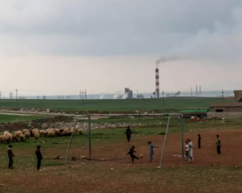 Oil Prices Drop as Iraq Resumes Exports via Turkey Amid Middle East Crisis