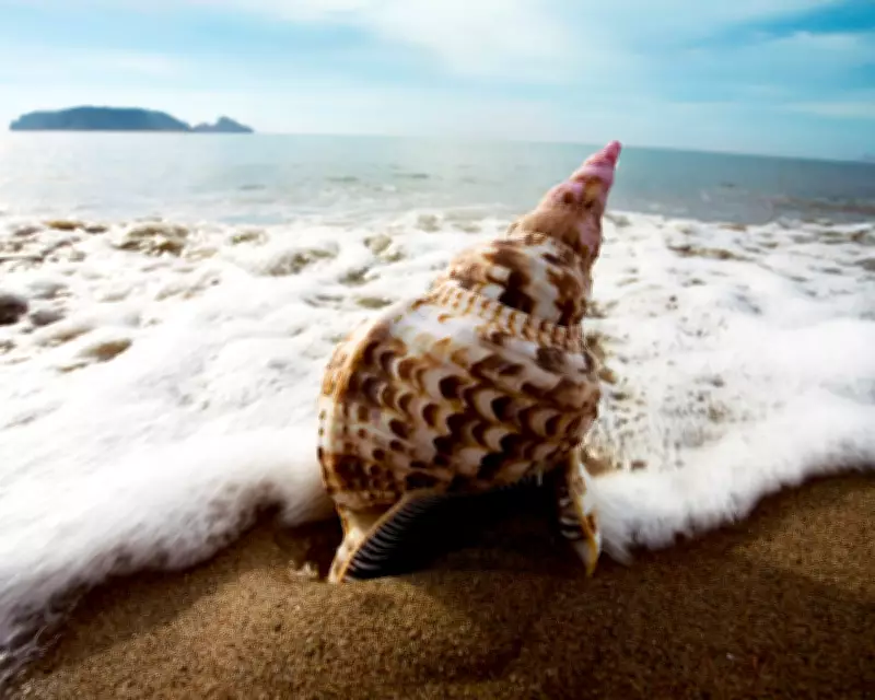 Oluwaseun Olayiwola's 'Strange Beach' Audiobook Review: A Poetic Debut