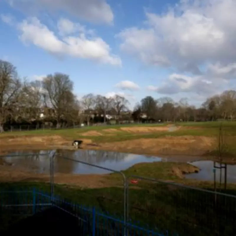 Ombudsman Faults Ealing Council Over Park Flooding Project Safety Concerns