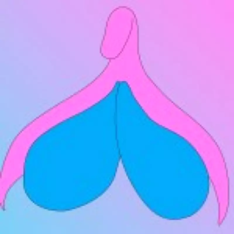 Only 3% of Brits Can Identify This Body Part in Anatomy Test