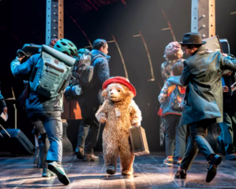 Paddington and Into the Woods Lead Olivier Awards with 11 Nominations Each