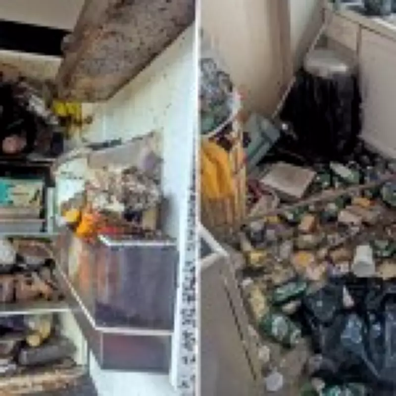 Pet Owner Banned for Life After Cats and Hamster Starve in 'House of Horrors'