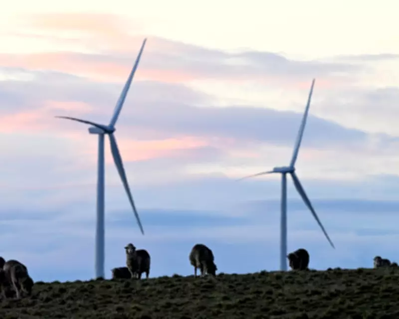 Power Prices to Drop Up to 10% on Australia's East Coast from July