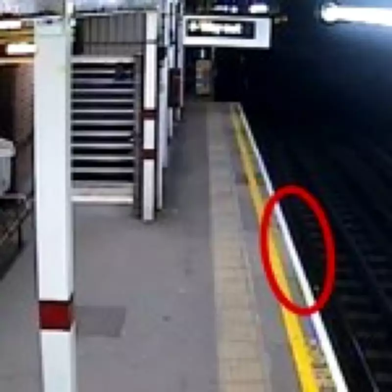 Pub Worker Dies After Falling Unnoticed onto Tube Tracks at Ickenham Station
