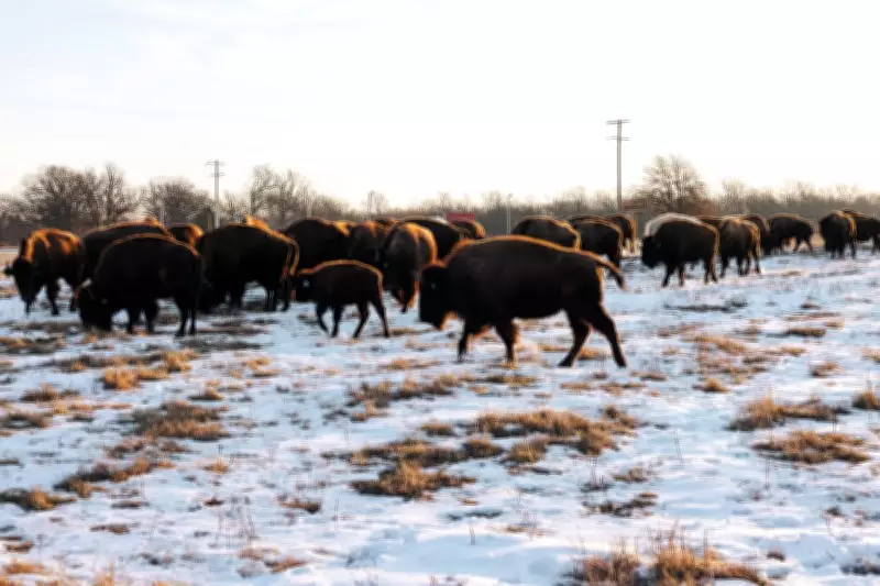 Quapaw Nation's Historic Superfund Cleanup Revives Contaminated Land