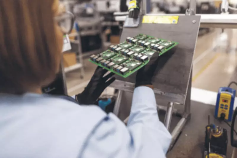 Raspberry Pi Shares Surge 12% as Revenue Exceeds Market Expectations