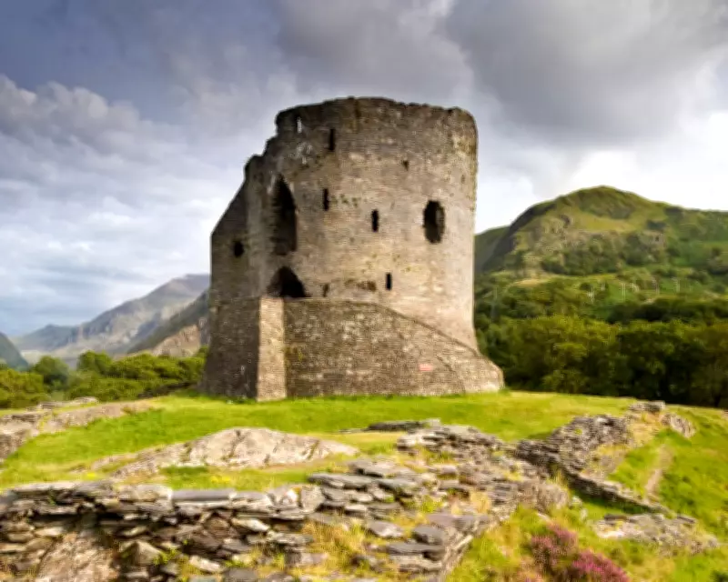 Readers Debate Place Names, Beaver Benefits, and Quirky Recipes