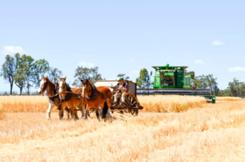 Regional Australia Faces Severe Fuel Crisis as Petrol and Diesel Prices Skyrocket