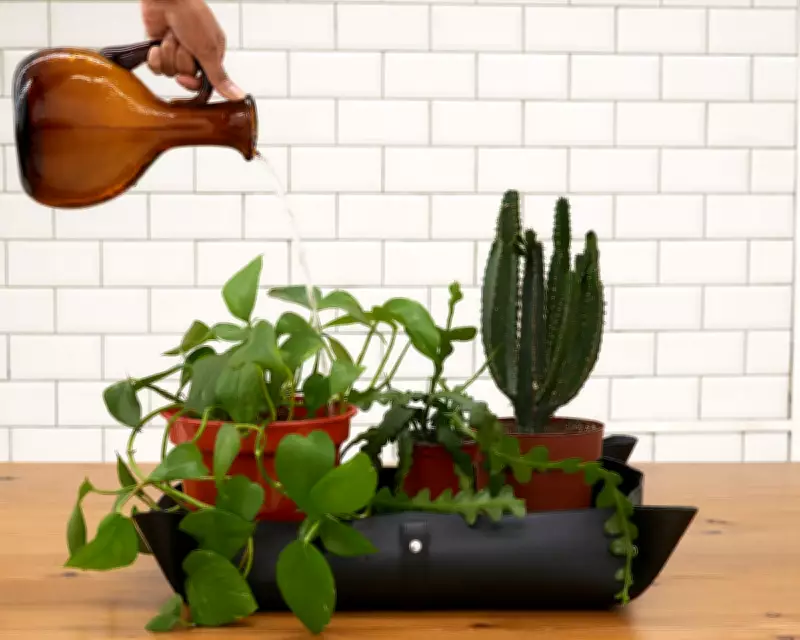 Repotting Mats: A Game-Changer for Indoor Plant Care or Unnecessary Expense?