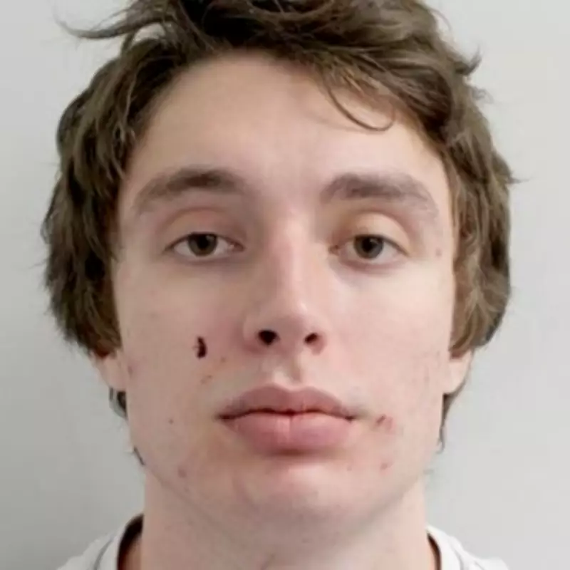 Russian National Jailed for Assault Witnessed by Barron Trump on Video Call