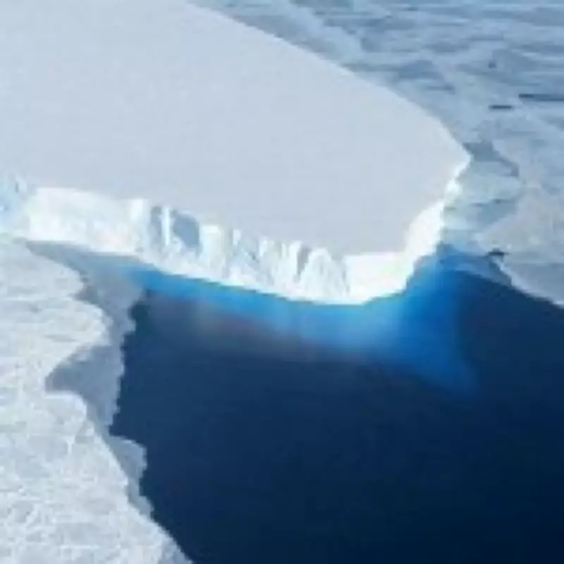 Scientists Propose 50-Mile Sea Curtain to Save Antarctica's 'Doomsday Glacier'
