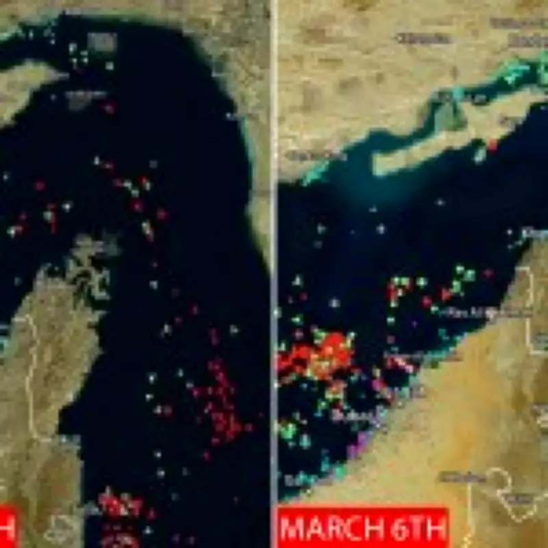 Shipping Collapses in Strait of Hormuz After Iran Conflict, Global Trade at Risk