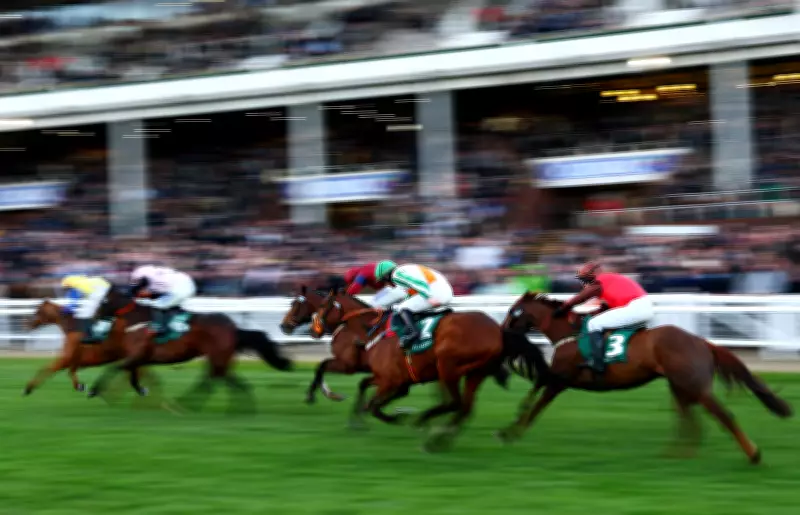 Shuttle Diplomacy and Wilde's Legacy: Expert Picks for Cheltenham's Turners Novices' Hurdle and Champion Bumper