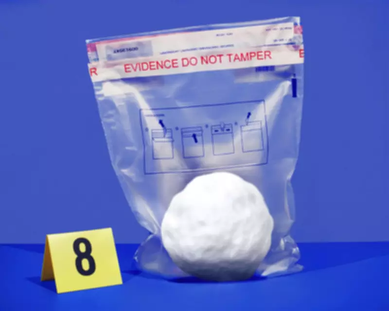 Snowball Fight Sparks Major Clash Between NYC Mayor Mamdani and NYPD Leadership