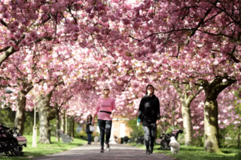 Spring 2026 Guide: Start Dates, Equinox Explained & Top Seasonal Deals