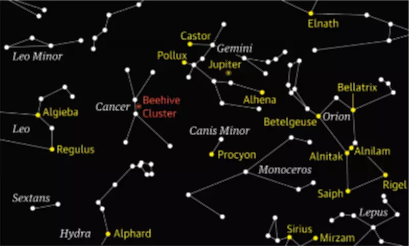 Stargazing Guide: Spotting Cancer's Elusive Beehive Cluster M44