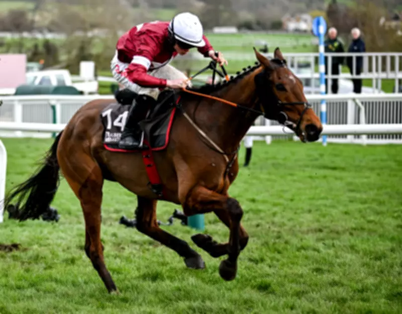 Stellar Story Emerges as Value Pick for 2026 Grand National at Aintree