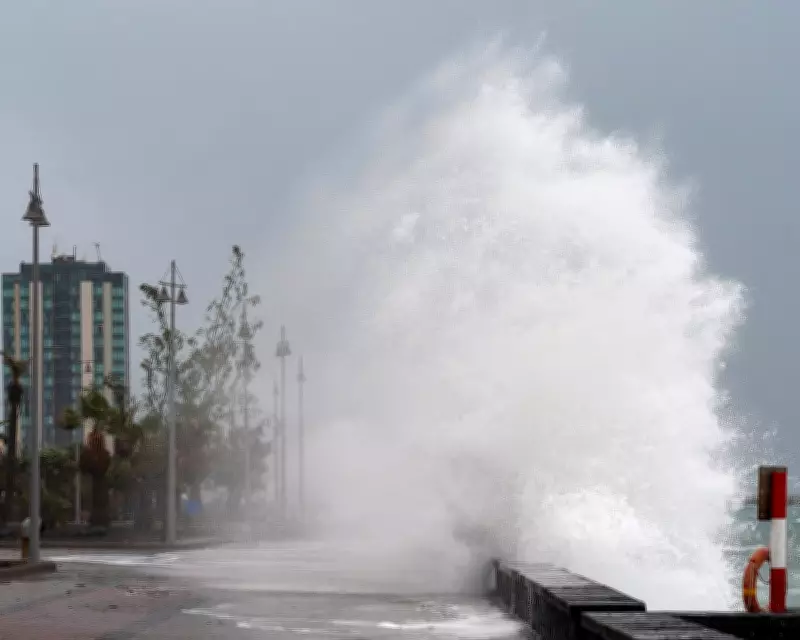 Storm Regina Batters Canary Islands with 6-Meter Waves and Snowfall