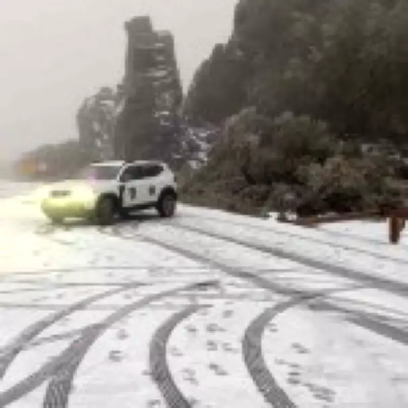 Storm Therese Ravages Canary Islands: Flights Axed, Events Cancelled Amid 'Significant Danger'