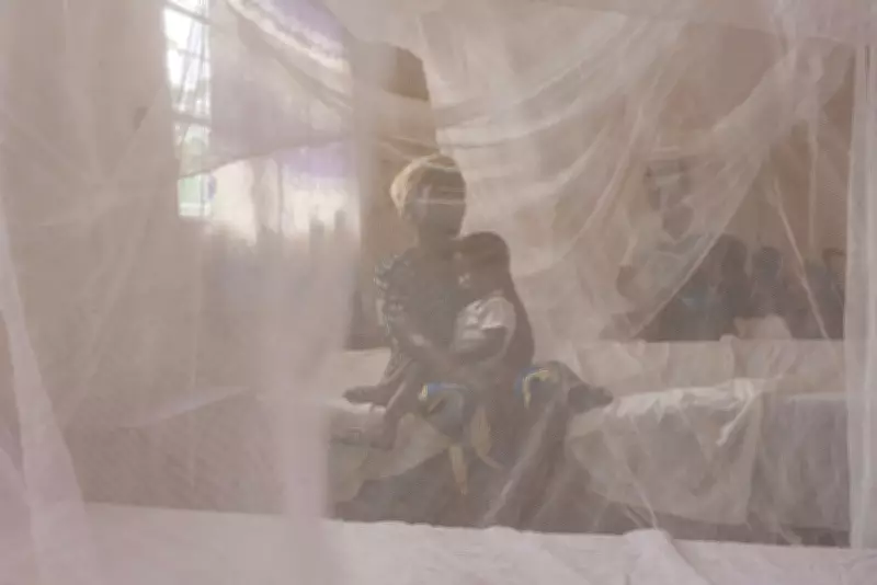 Study: Republican Presidents Linked to 11% Maternal Mortality Rise in Aid-Dependent Nations