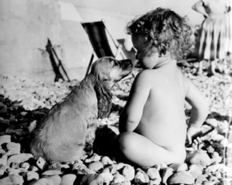 Study Reveals Babies Under One Year Old Practice Deception in Early Development