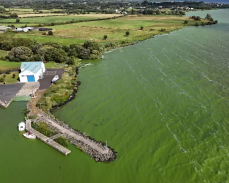 Superbug Genes Found in UK's Largest Lake, Threatening Drinking Water