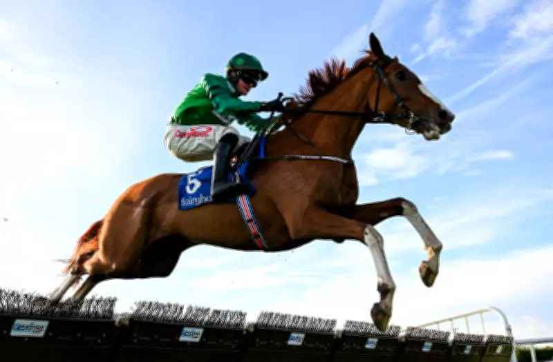Talk The Talk Poised to Triumph in Cheltenham's Supreme Novices' Hurdle