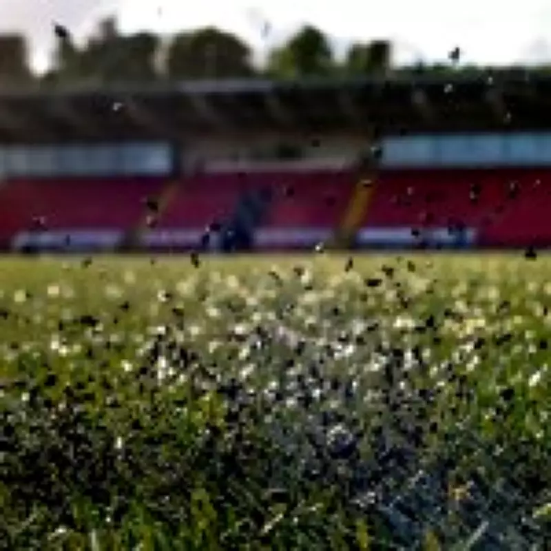 Teachers' Union Demands Ban on 3G Pitches Over Cancer Risk Concerns