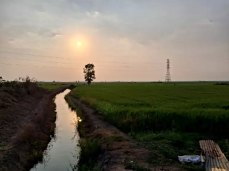 Thai Farmers Face Fuel Crisis as Middle East War Disrupts Energy Imports