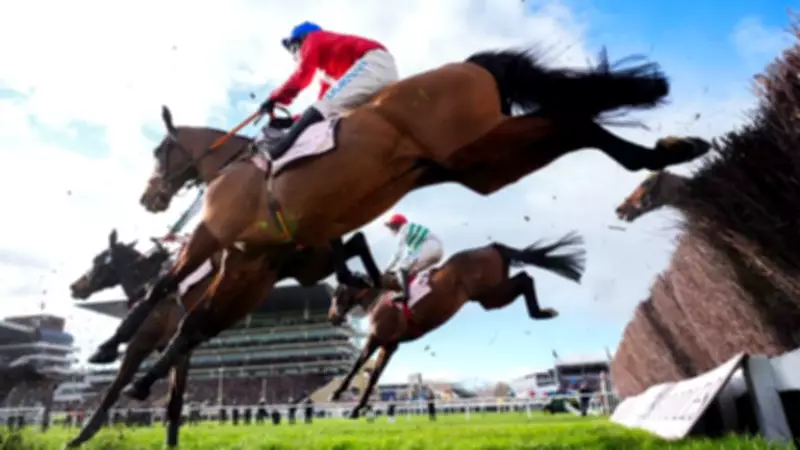 Third Horse Dies at Cheltenham Festival, Envoi Allen Collapses After Final Race