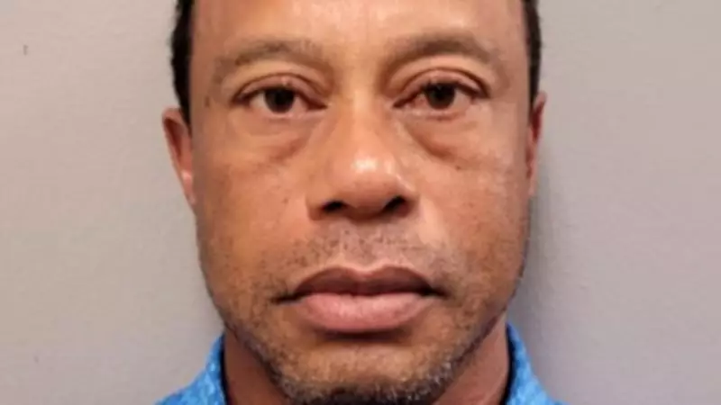 Tiger Woods Steps Away for Treatment After DUI Charge and Not Guilty Plea