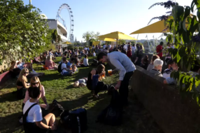 Time Out Reveals London's Top Rooftop Bar for 2026: Queen Elizabeth Hall Roof Garden