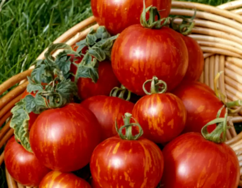 Top 10 Easy-to-Grow Fruits and Vegetables for a Bountiful Harvest