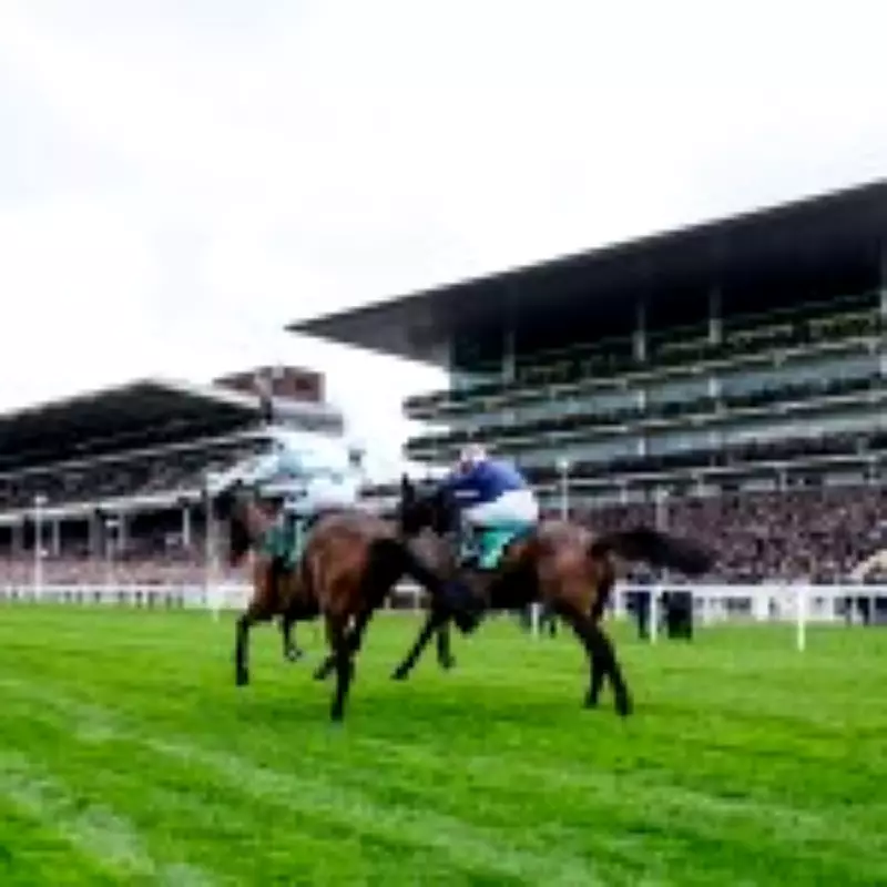 Tragedy at Cheltenham Festival as Horse Dies in Second Race