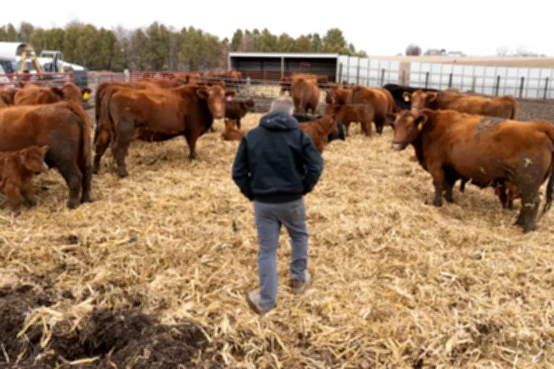Trump Announces New Federal Aid Package for Farmers Amid Iran Conflict