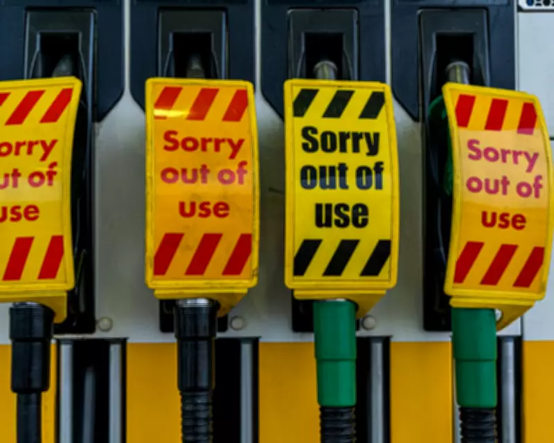 Trump's Iran War Sparks UK Fuel Crisis Fears and Political Turmoil