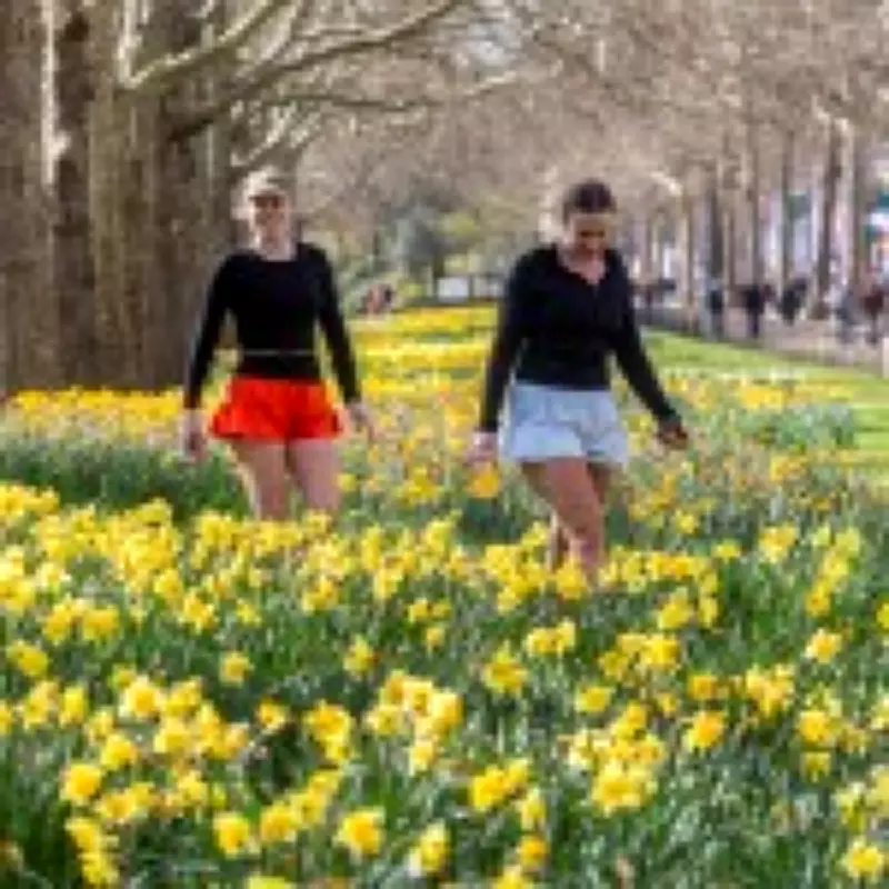 UK Braces for 20°C Temperatures This Week, Potentially Warmest Day of Year