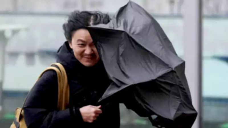 UK Braces for Severe Wind Gusts and Heavy Rain with Yellow Warnings Issued