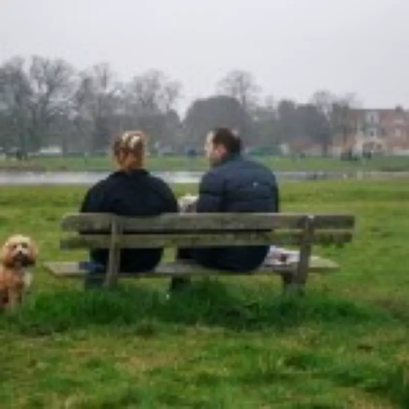 UK Cold Snap Nears End as Met Office Warns of Final Snow and Gale Force Winds