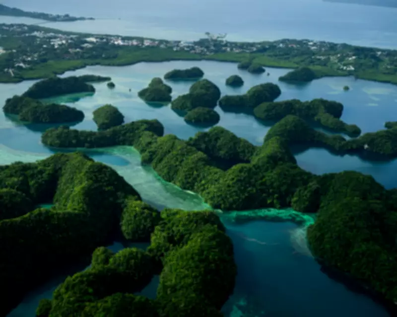 UK Cuts Climate Aid to Developing Nations, Jeopardizing Global Ecosystems