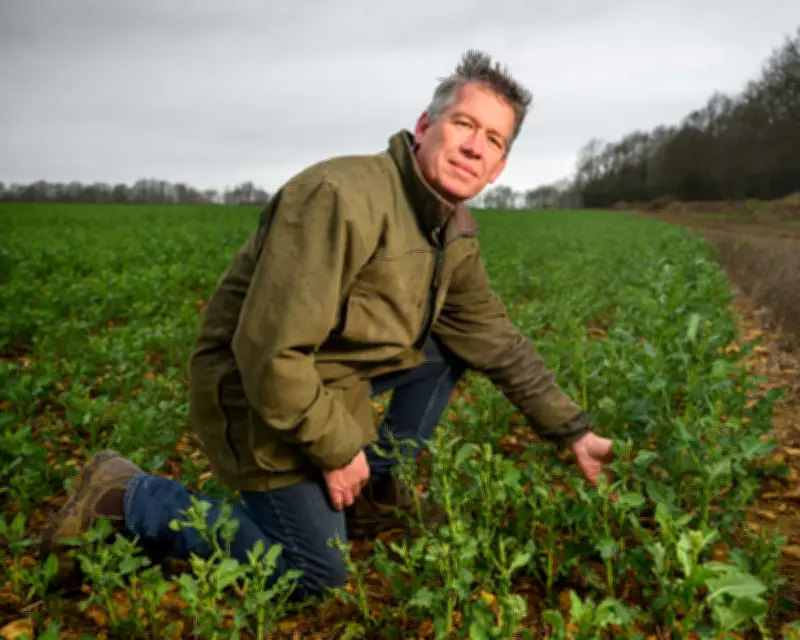 UK Farmers Face Fertiliser Crisis as Middle East Conflict Disrupts Supplies