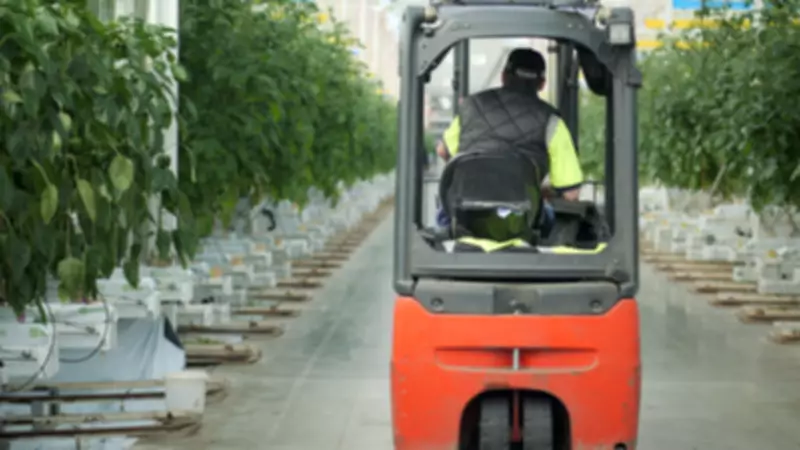 UK Food Prices Set to Spike as Iran War Disrupts Fertilizer Supply Chain