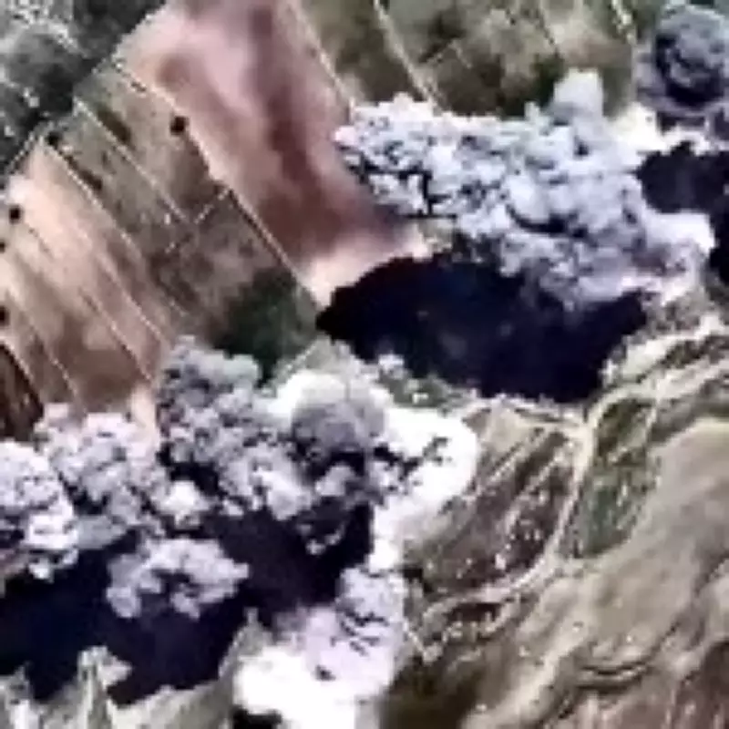 UK Food Prices Set to Surge Within Weeks Due to Iran Conflict, Warns NFU