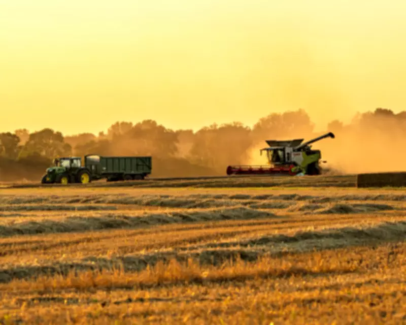 UK Food Security Crisis: Expert Warns Stockpiles Needed for Climate and War Shocks