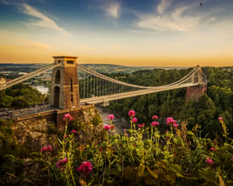 UK Nature Reserves and National Parks: Urban Wildlife Havens and Coastal Gems