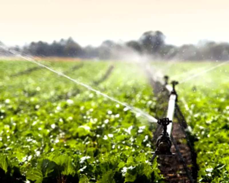 UK Researchers Demand Sustained Food System Investment to Combat Global Malnutrition