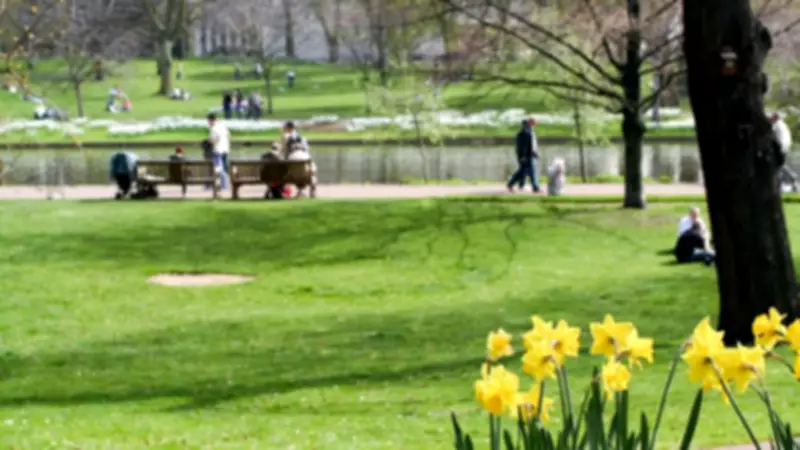 UK Weather: Temperatures Could Soar to 21C as Sunshine Arrives